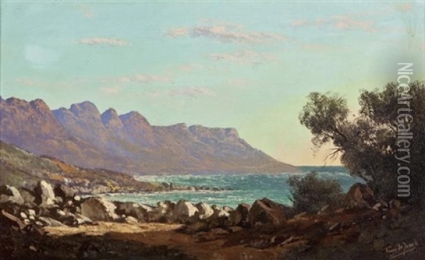 A View Of Camps Bay Oil Painting - Tinus de Jongh