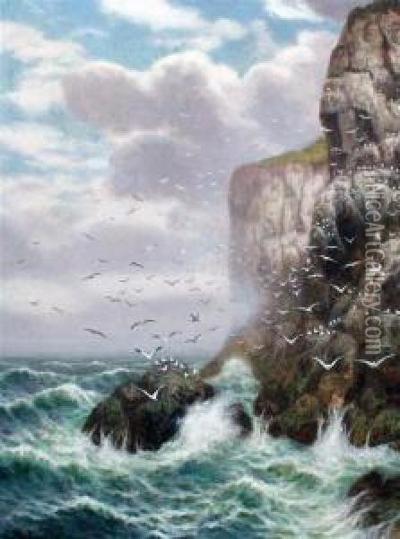 Gulls On Sea Cliffs Oil Painting - Alex Mortimer
