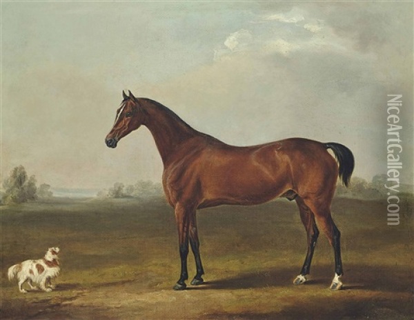 A Bay Hunter And A Spaniel Oil Painting - C.W. Davis