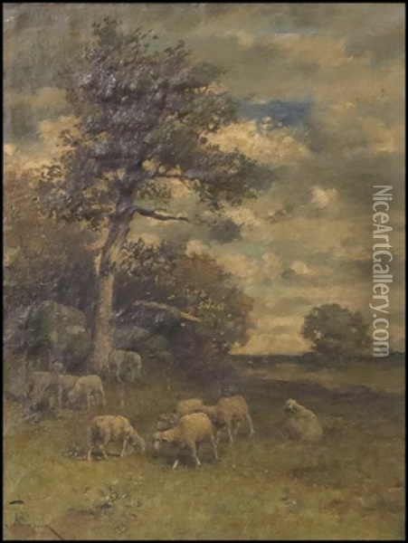 Sheep In Landscape Oil Painting - Harry Ives Thompson