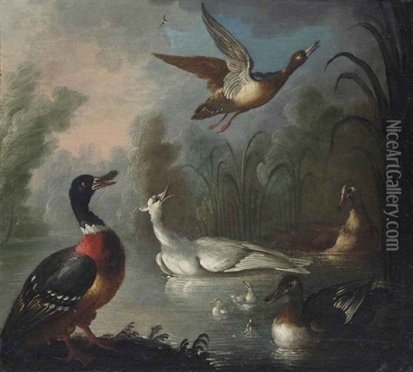 Ducks In A Pond Oil Painting - Marmaduke Cradock