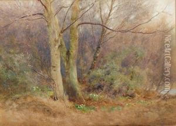 The Promise Of Springtime Oil Painting - William Eyre Walker