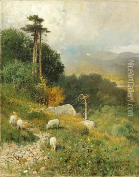 Sheep/landscape Oil Painting - James Cantwell