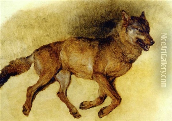 Liegender Wolf Nach Rechts Oil Painting - Friedrich Gauermann
