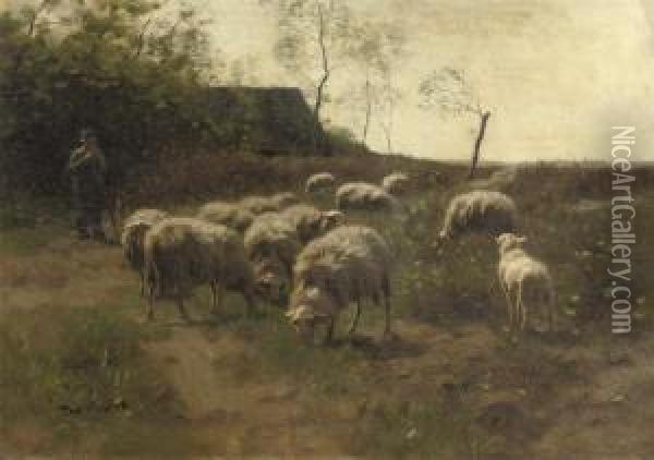 Grazing Sheep Oil Painting - Francois Pieter ter Meulen