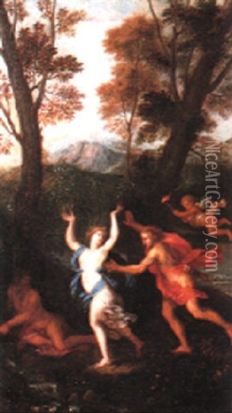 Apollo And Daphne Oil Painting - Filippo Lauri