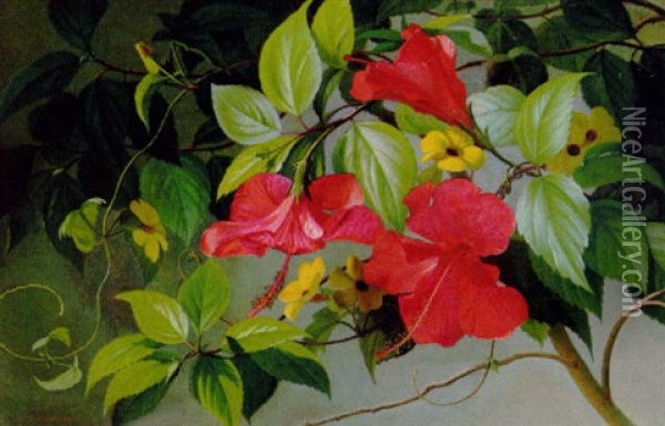 Hawaiiblomster Oil Painting - Carl Vilhelm Balsgaard
