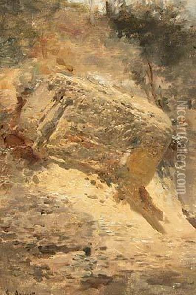 Rocas. Oil Painting - Jose Armet Y Portanell