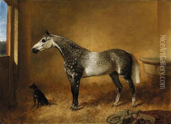 A Dappled Grey Mare And A Dog In A Stable Oil Painting - John Frederick Herring Snr