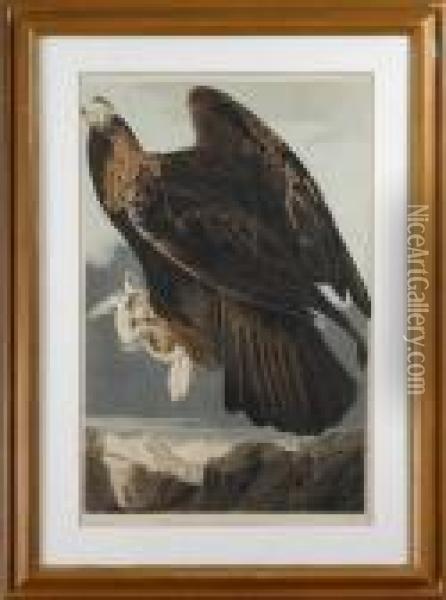 Golden Eagle Oil Painting - John James Audubon