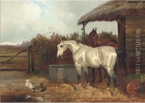 Horses At A Trough Oil Painting - Colin Graeme