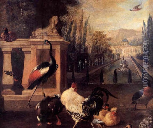 Aves En Un Jardin Oil Painting - Melchior de Hondecoeter