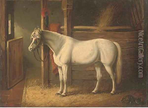 A grey stallion in a stable Oil Painting - John Frederick Herring