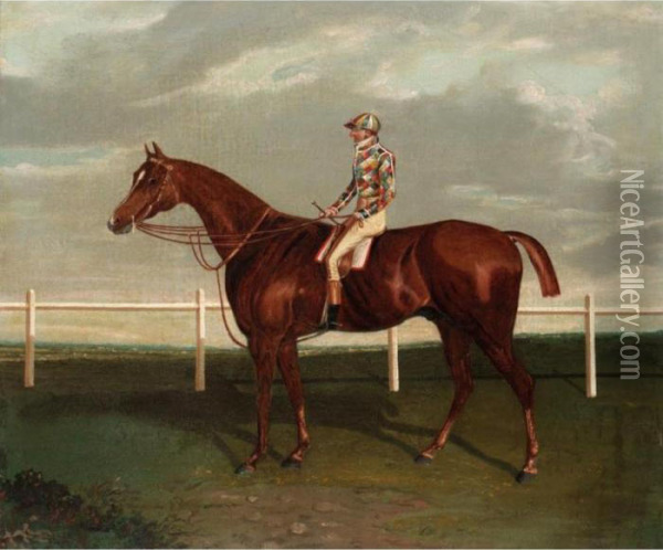 Barefoot With Jockey Up Oil Painting - Edwin, Beccles Of Cooper
