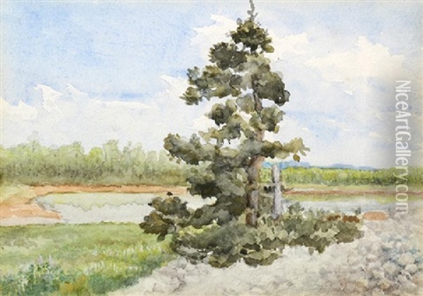 Lone Tree By A Lake Oil Painting - Emil Carlsen