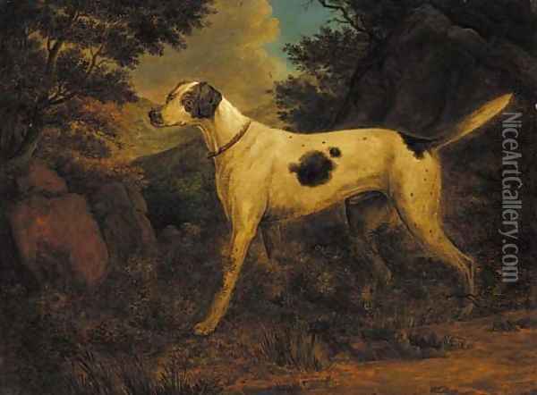 Dash, Colonel Thornton's terrier, in a wooded landscape Oil Painting - Sawrey Gilpin