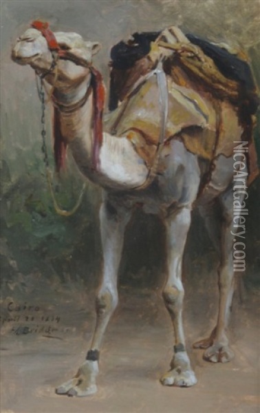 Study Of A Camel Oil Painting - Frederick Arthur Bridgman