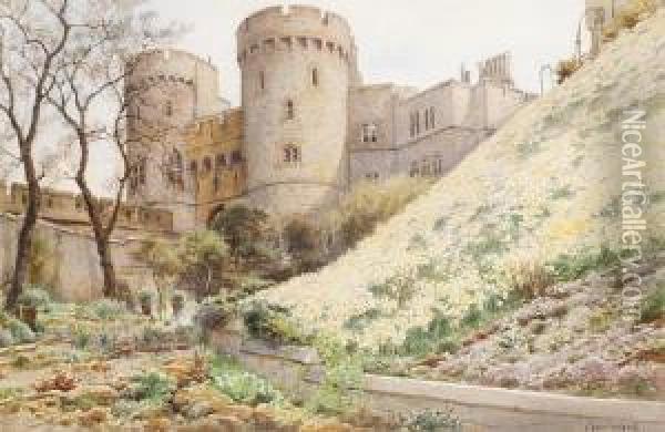 Daffodils On The Hill Under Round Tower,windsor Castle Oil Painting - Cyril Ward