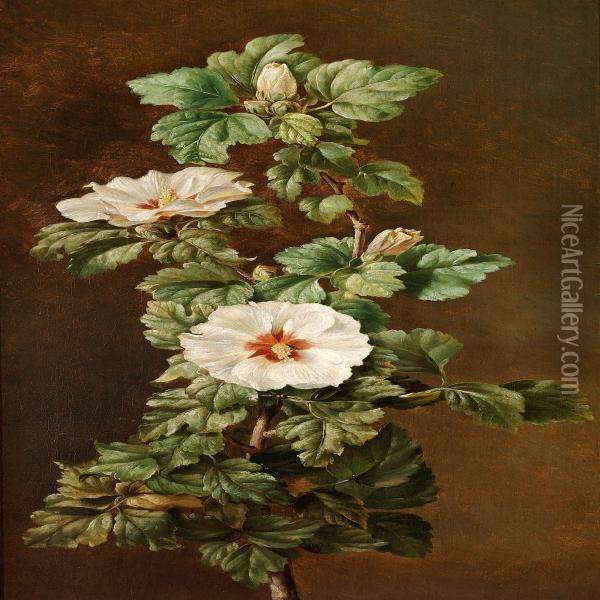 A Flowering Hibiscus Branch Oil Painting - Johan Frederik Damm