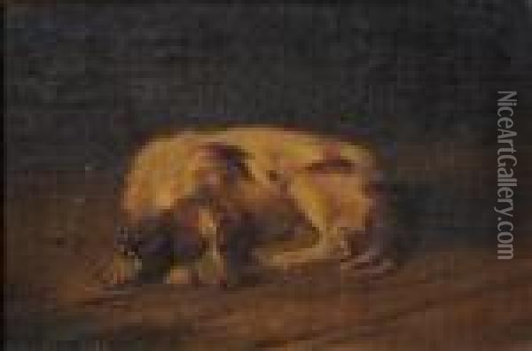 A Sleeping Hound. Oil Painting - John Emms