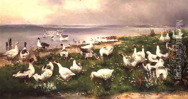 Geese Oil Painting - Alfred Schonian