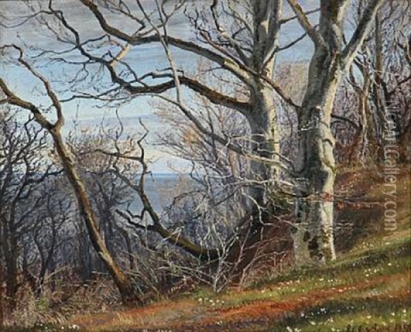 Spring Day At A Hillside With Beeches And Anemones, In The Background The Sea Oil Painting - Janus la Cour