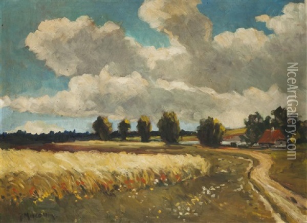 Getreidefelder Oil Painting - Gustav Macoun