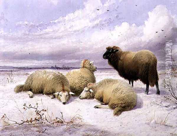 Sheep in the Snow Oil Painting - Thomas Sidney Cooper