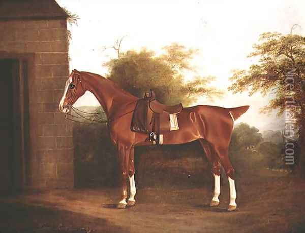 Horse with side saddle Oil Painting - Thomas Weaver