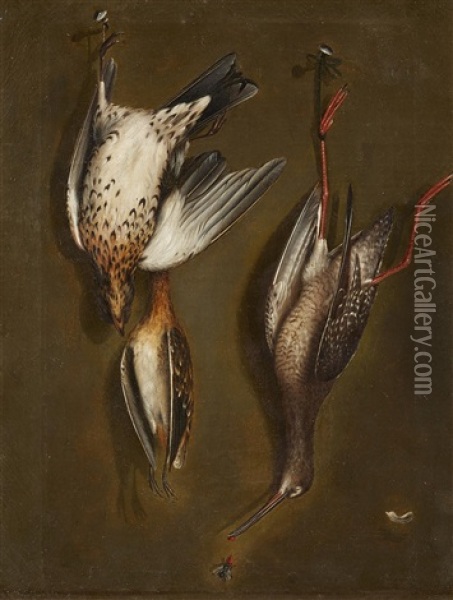 Trompe L'oeil With Birds Oil Painting - Cornelis (Bilcius) Biltius