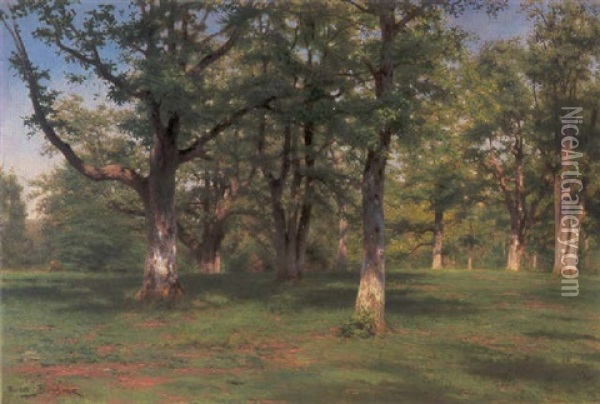 Foret De Fontainebleau:  Le Printemps Au Bois Oil Painting - Rosa Bonheur