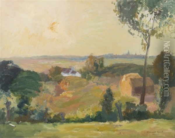 Campagne Oil Painting - Armand Adrien Marie Apol