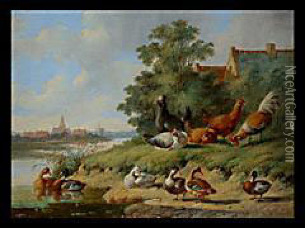 Federvieh An Flusslauf Mit Architektur Oil Painting - Albertus Verhoesen