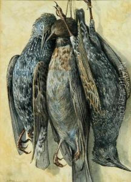 Starlings Oil Painting - Charles Harmony Harrison