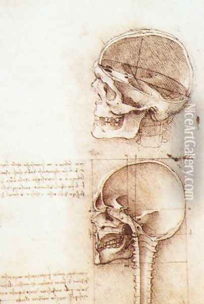Studies of human skull Oil Painting - Leonardo Da Vinci
