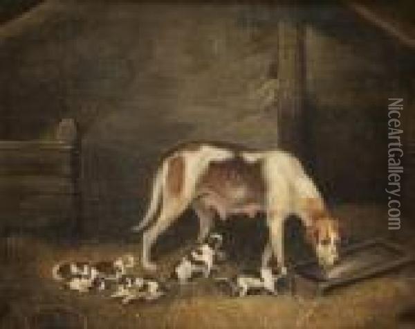 A Bitch With Puppies In A Stable Oil Painting - Samuel Raven