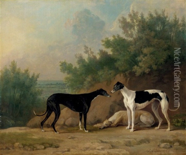 Three Greyhounds Oil Painting - Sawrey Gilpin