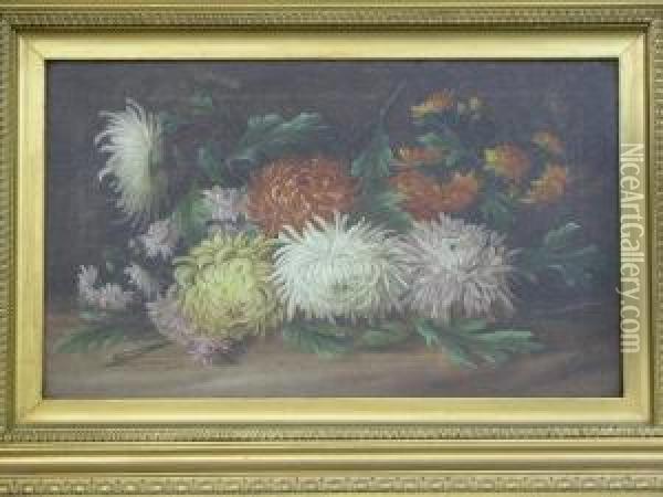 Still Life Studies Of Flowers Oil Painting - Edwin Steele
