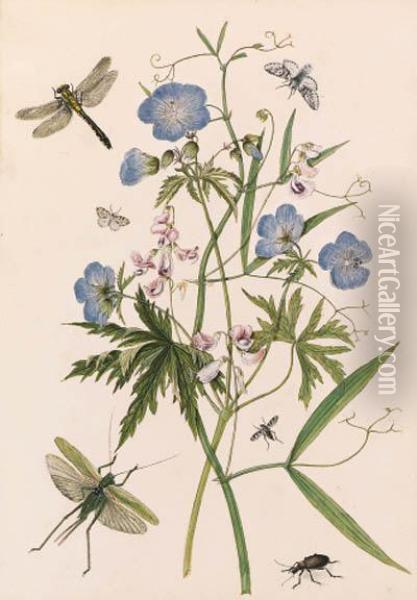 Meadow Crane's-bill, And Wild Pea With Dragonflies And A Stagbeetle; And Yellow Iris, With A Large Tortoiseshell, Moths And Astag Beetle Oil Painting - Thomas Robins