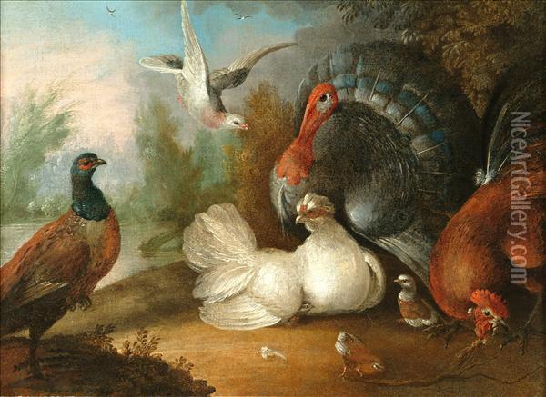 Scene Withdomestic Fowl, To Include Cock, Hen And Chicks, Turkey, Pheasantand Pigeon Oil Painting - Marmaduke Cradock