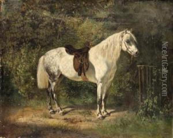A Dappled Grey Pony Oil Painting - Emil Adam