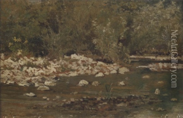 Ruscello In Maremma Oil Painting - Giovanni Fattori