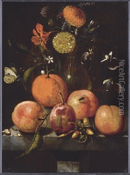 Still Life With Plums, An Orange, A Cabbage White Butterfly And Flowers In A Glass Vase On A Stone Ledge Oil Painting - Martinus Nellius