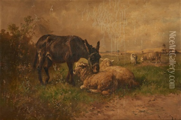 Ane Et Moutons Au Paturage Oil Painting - Henry Schouten