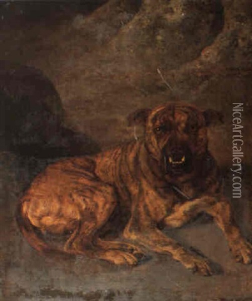 Study Of Brindle Mastif Oil Painting - Benjamin Marshall