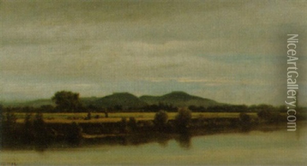 Sommerliche Rhonelandschaft In Sudfrankreich Oil Painting - Edouard Auguste Imer