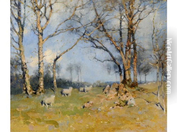 Sheep Under Trees, Moniaive Oil Painting - James Paterson