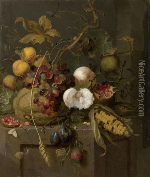 Stilleben Mit Fruchten Und Insekten Oil Painting - Jan Mortel