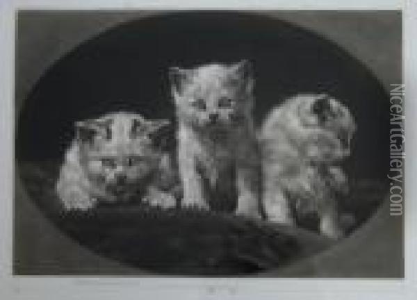 Three Little Kittens Oil Painting - Herbert Thomas Dicksee