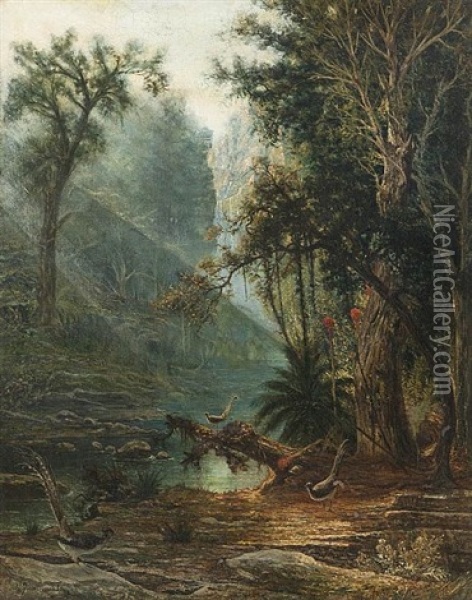 Pheasants Near A Lake In The Woods, Early Morning Oil Painting - Giuseppe Ferrarini